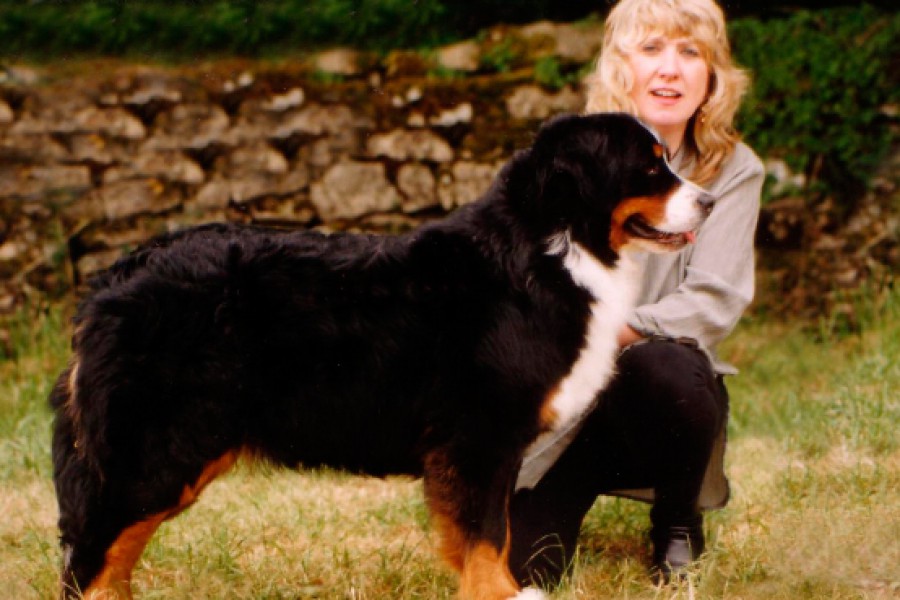 Interview with Mrs. Helen Davenport-Willis • Nellsbern kennel