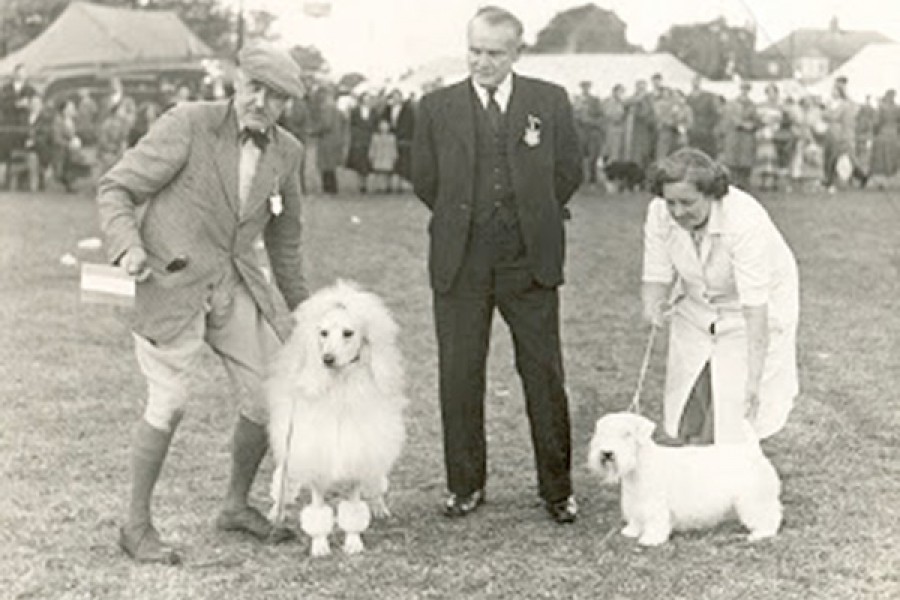 The Dog Breeder’s Manual by Eric F. Daglish