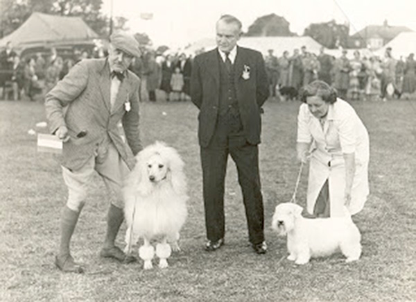 The Dog Breeder’s Manual by Eric F. Daglish