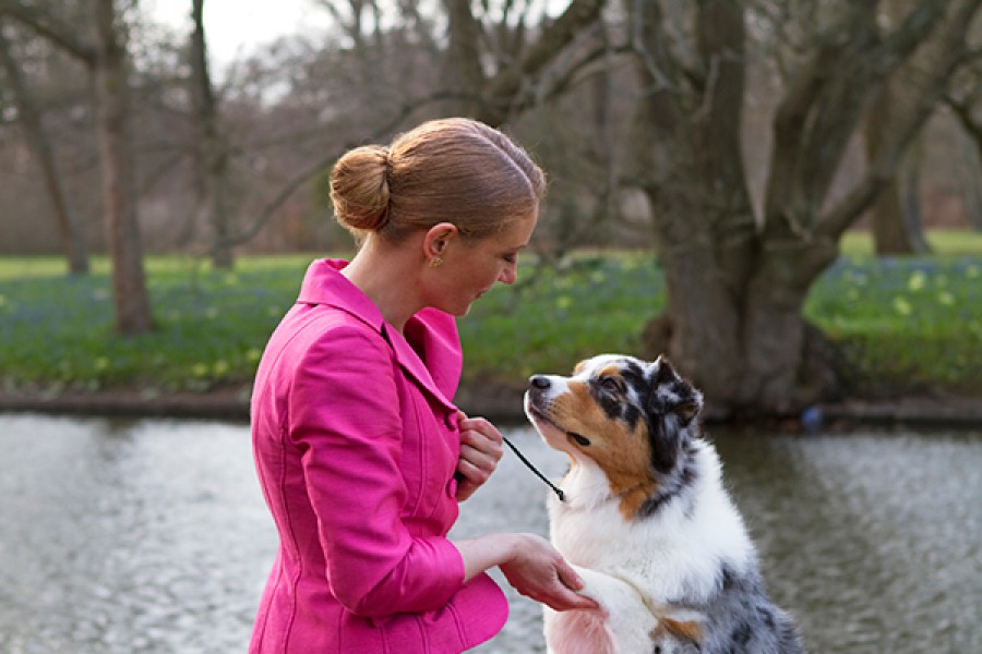 Leading Angels Australian Shepherds