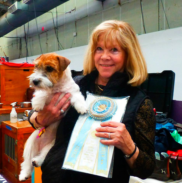 Rolling hills best sale jack russell terriers