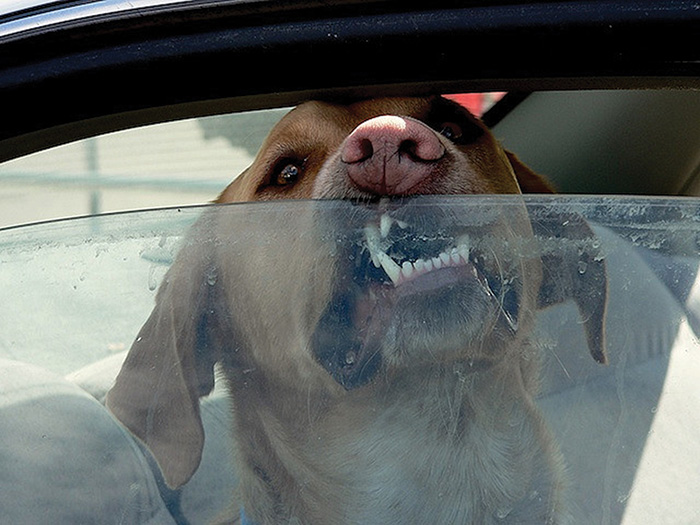 Traveling in a hot weather