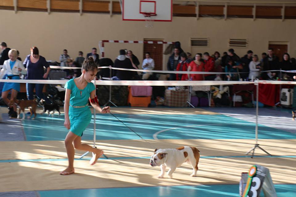 Life with Dogs • Eva Titova