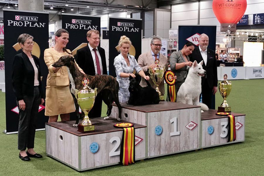 BIS German Winner Show – 25/8/2019