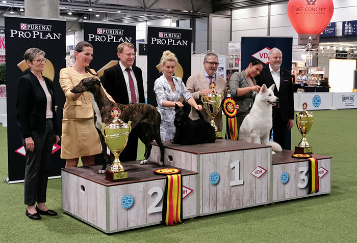 BIS German Winner Show – 25/8/2019