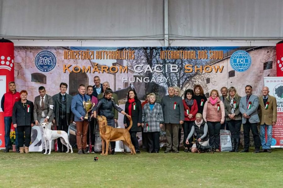 BIS at the Komarom – Crufts Derby  • 22/10/2021