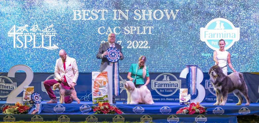 BIS at CAC 4 Summer Night Shows in Split