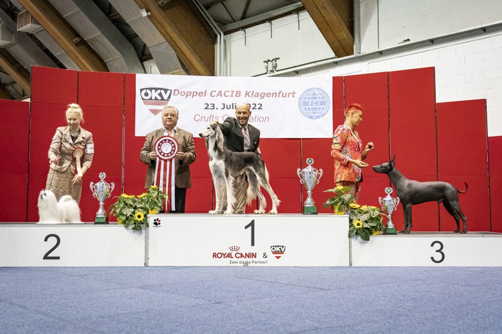 Klagenfurt day 1 cacib winners