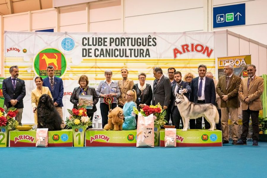 BIS at CACIB Lisboa • 29/01/2023